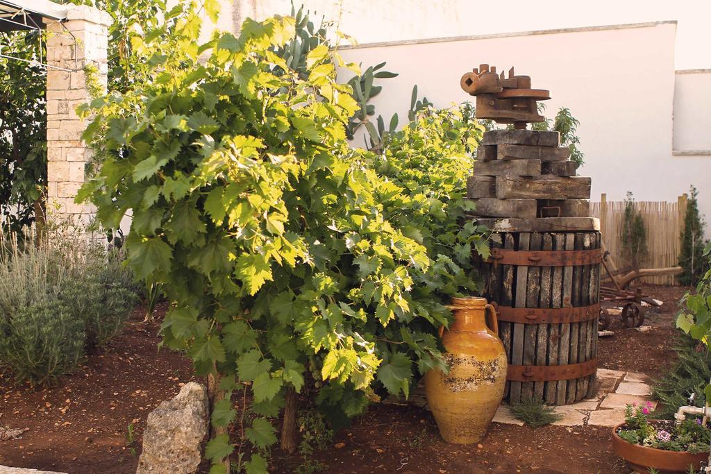 ألبيروبيللو Corte Trullo Sovrano B&B المظهر الخارجي الصورة
